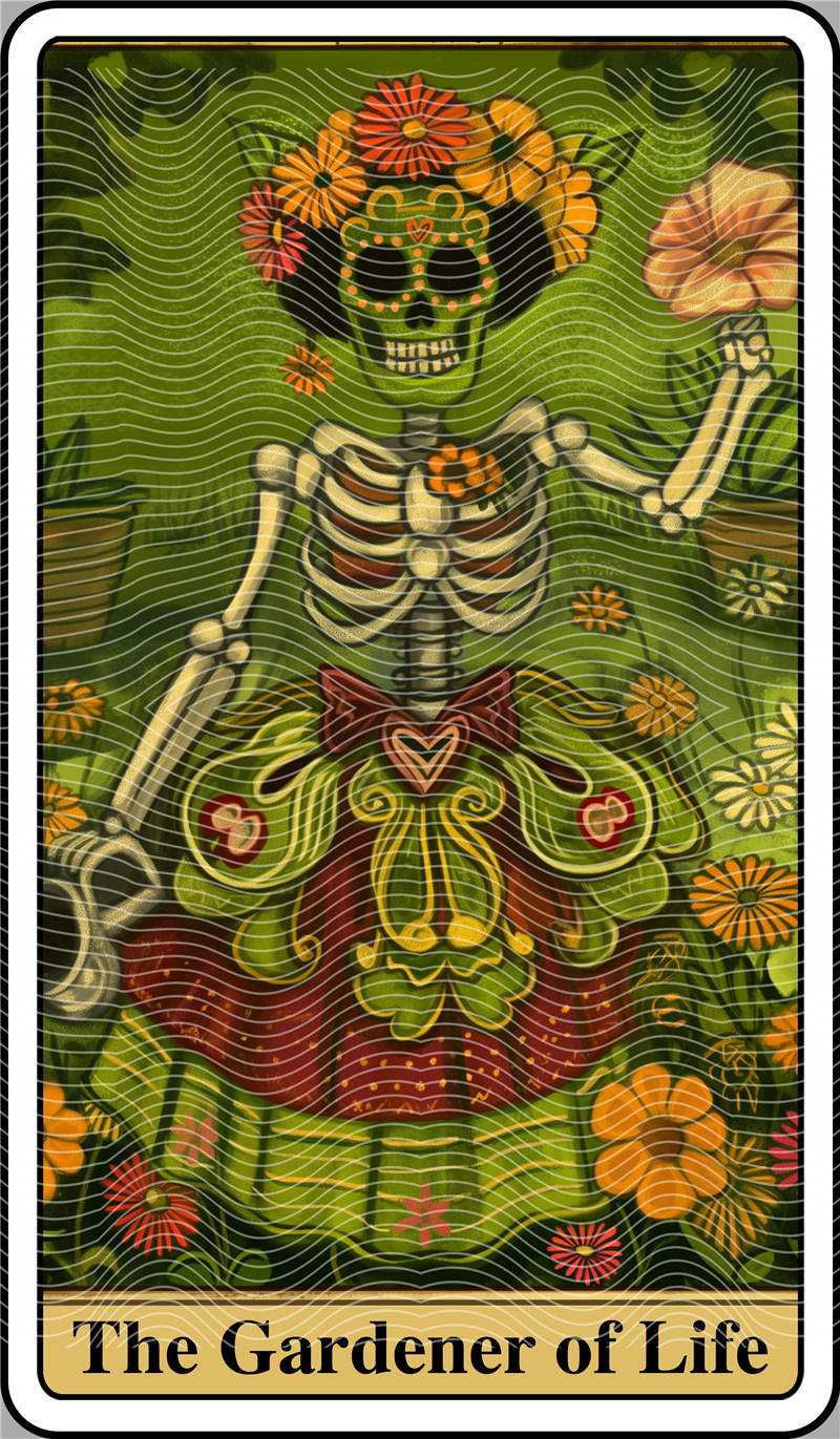 Cards and constellations-KP 69